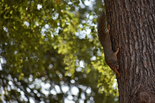 根据此前意 根据此前意