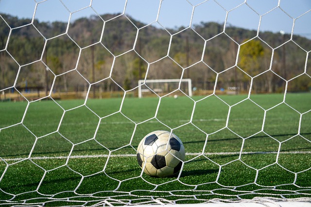 顽固的伤病 顽固的伤病