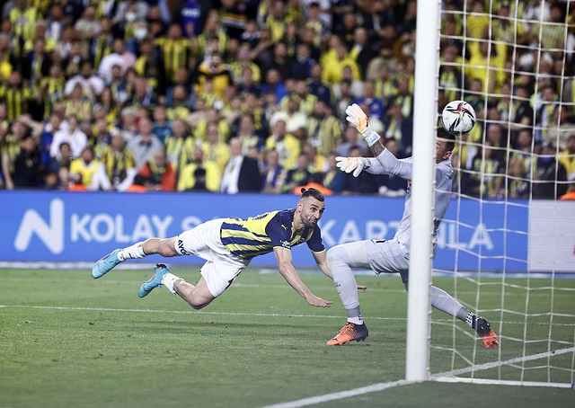 球世界中唯 球世界中唯